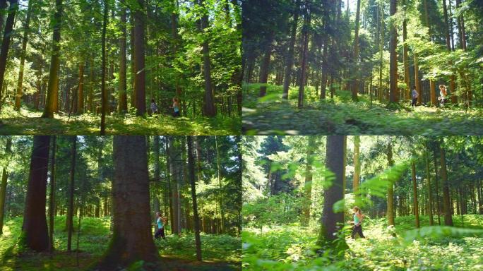 两名女运动员在阳光明媚的森林中奔跑