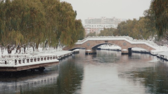 沈阳冬季舍利塔公园雪景