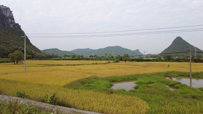 车窗外风景