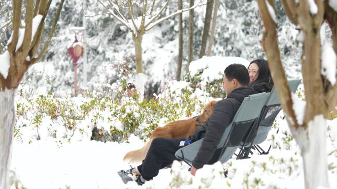 一家人雪地带着狗狗打雪仗