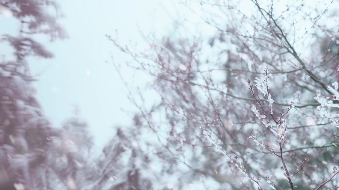 下雪升格雪花慢镜头