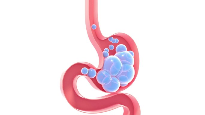 人体胃内部气体示意图的3D动画。