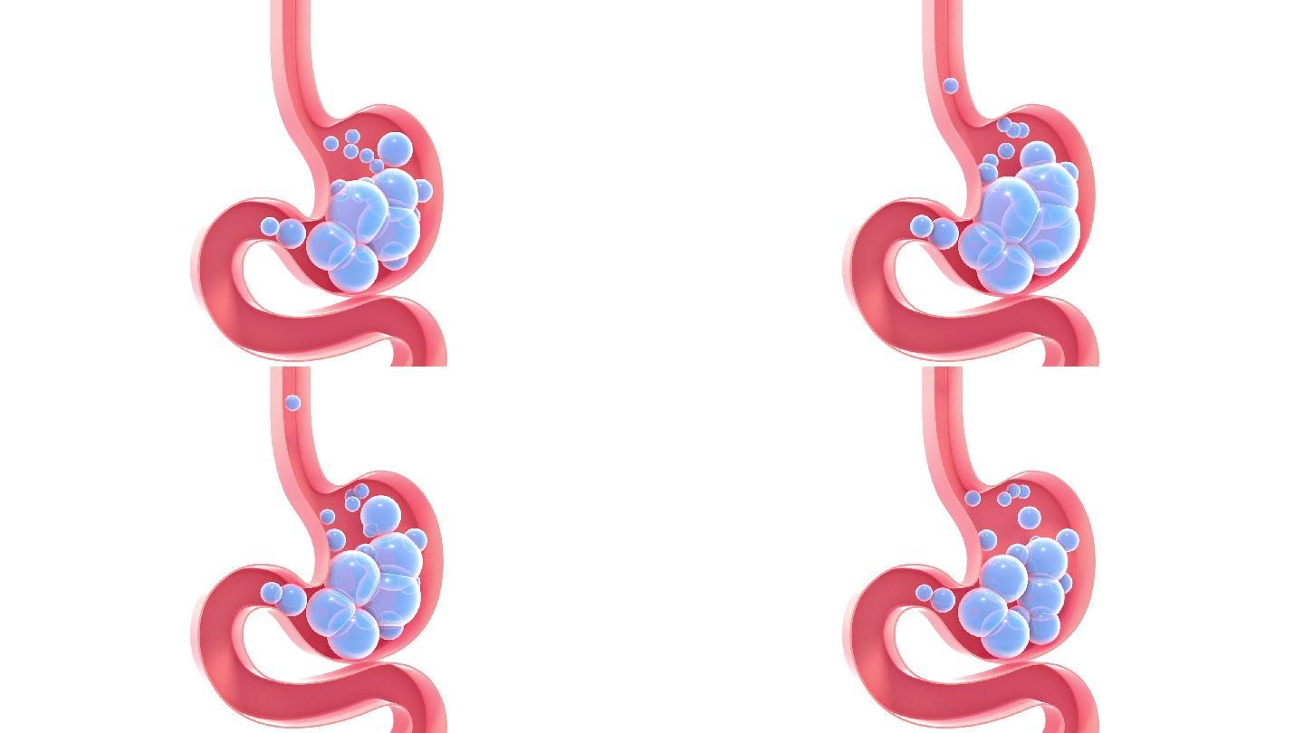 人体胃内部气体示意图的3D动画。