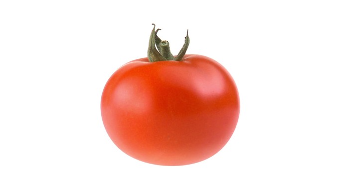 新鲜番茄动画红色水果食材成熟果实农产品