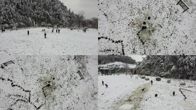 雪地里玩耍嬉闹