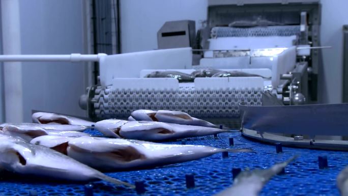 鱼类加工厂生产设备自动化工厂制造