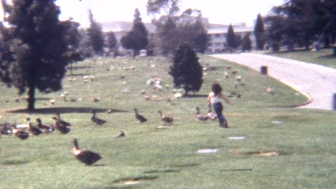 一个年轻女孩在追赶鸭子。