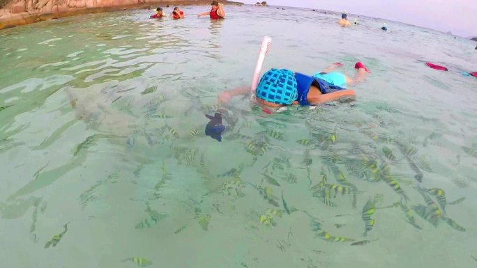 在大海中浮潜看鱼的小孩