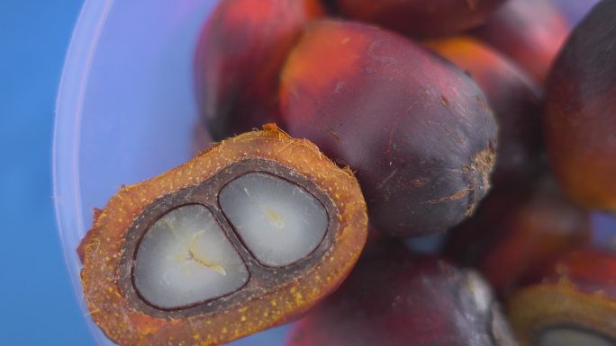 棕榈浆果视频素材食品添加剂食品安全