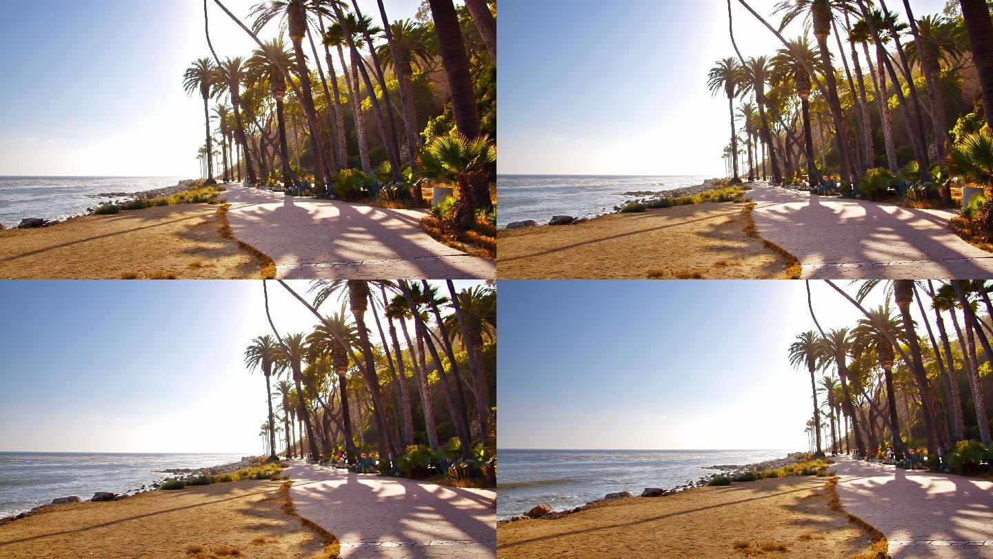 小巷棕榈树沙滩