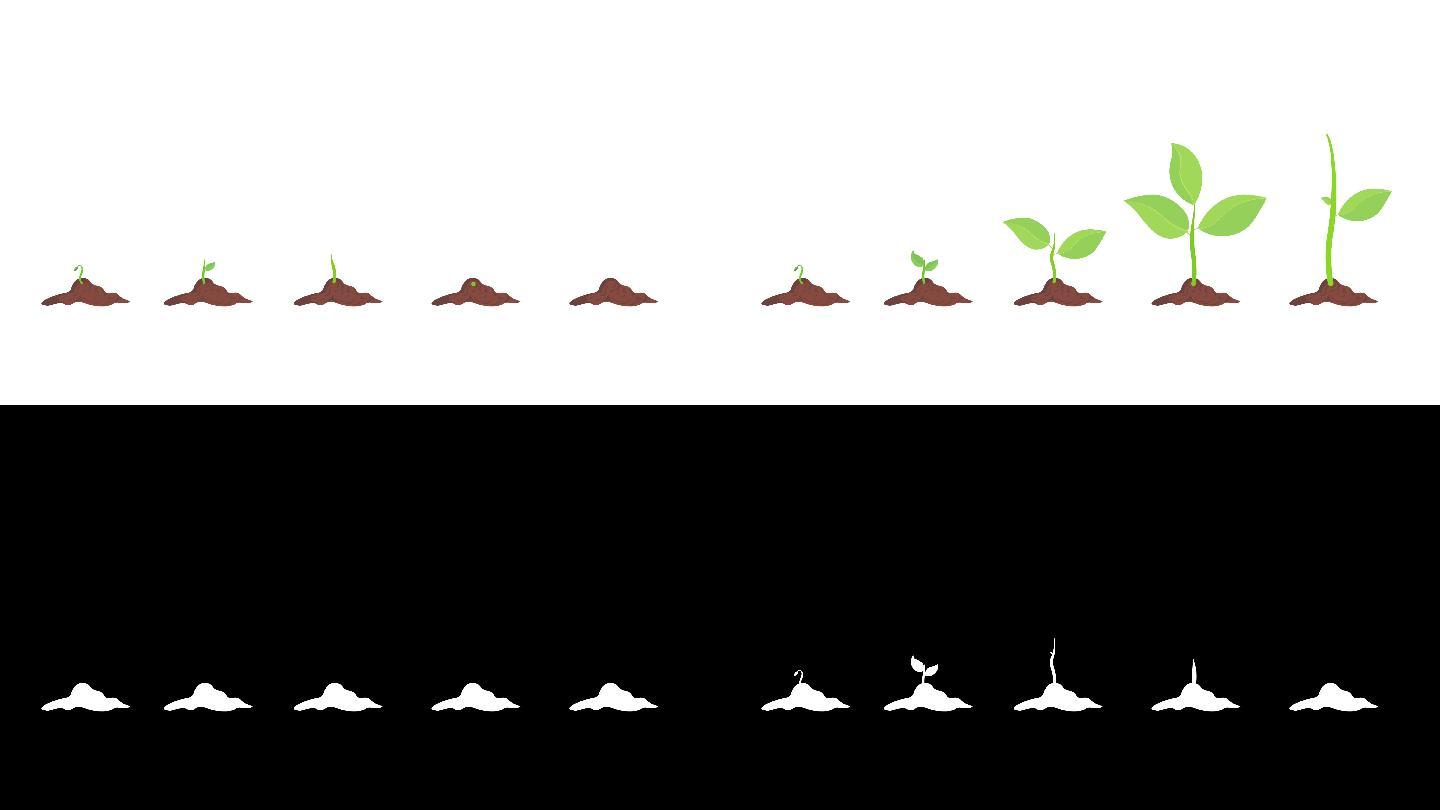 小植物卡通动画植树节植树造林环保