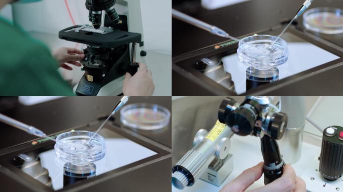 正在使用显微镜做细胞实验
