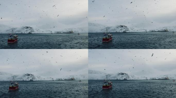 在北冰洋捕捞鳕鱼北极成群海鸥渔民出海