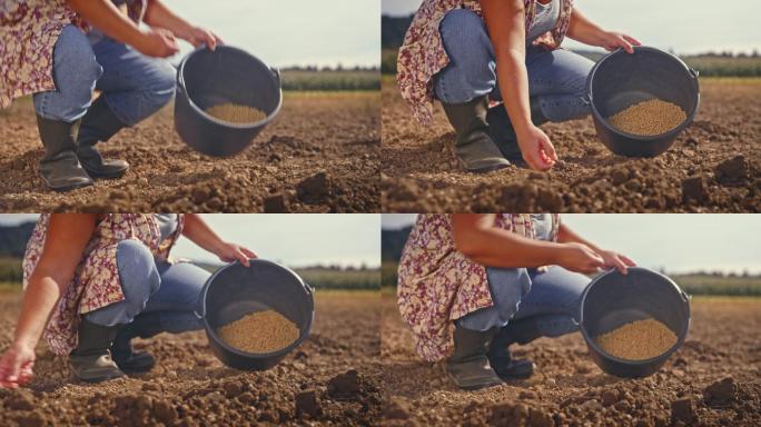 女农民在土壤里播种