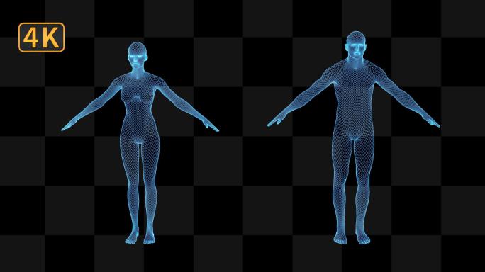 【4K带通道】蓝色科技全息线框男女人体