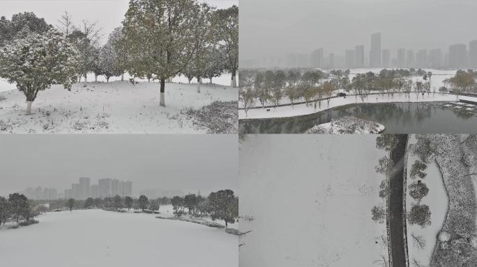 航拍大雪纷飞中的城市湿地公园