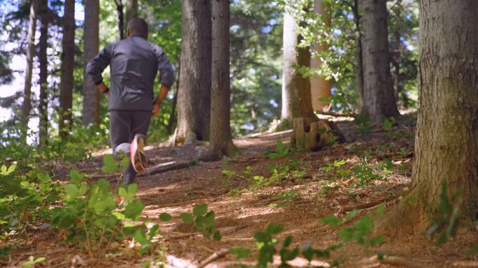 沿着森林小道奔跑视频素材自然风光健康生活