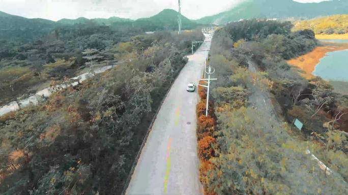 观音山 深圳 fpv 寺庙 4k 航拍