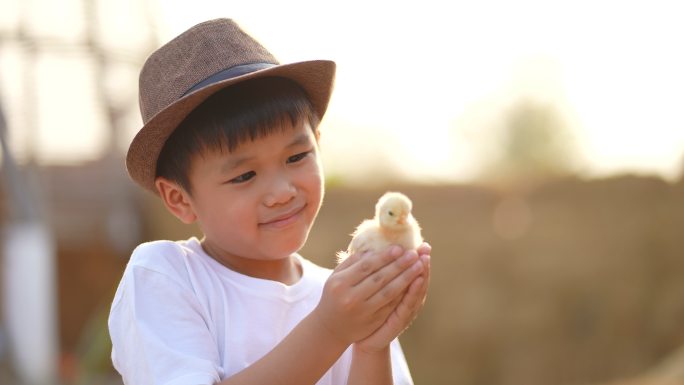 亚洲小孩和他的宠物小鸡