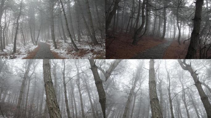 森林薄雾