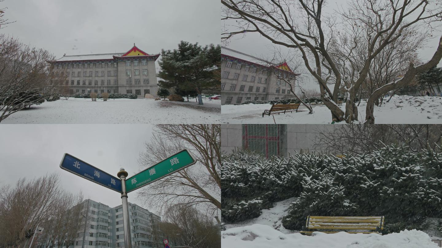 哈尔滨工程大学、路标、冬季、雪景、松树