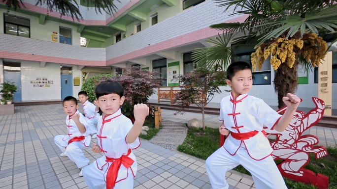 学校小学武术小学生武术社团训练强身健体