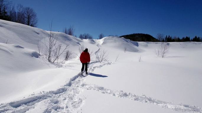 在雪地里行走的人冬天冰岛冰川