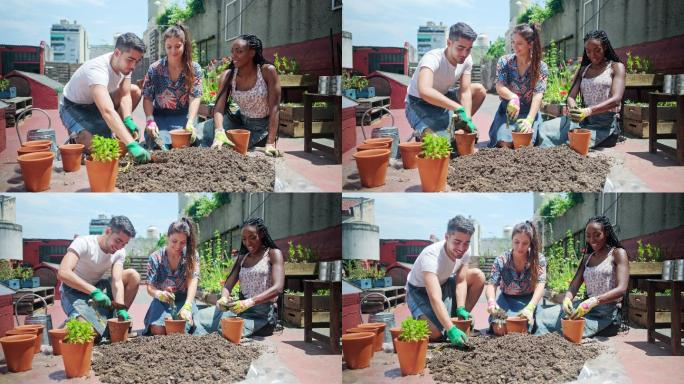 社区成员一起在屋顶花园准备土壤和盆栽植物