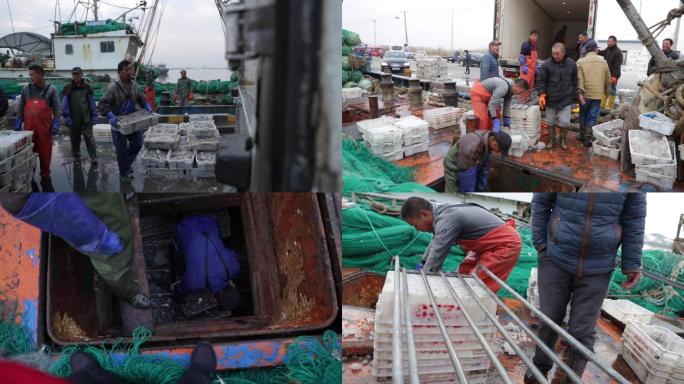 捕鱼捕捞作业渔船鱼海鲜运输A023