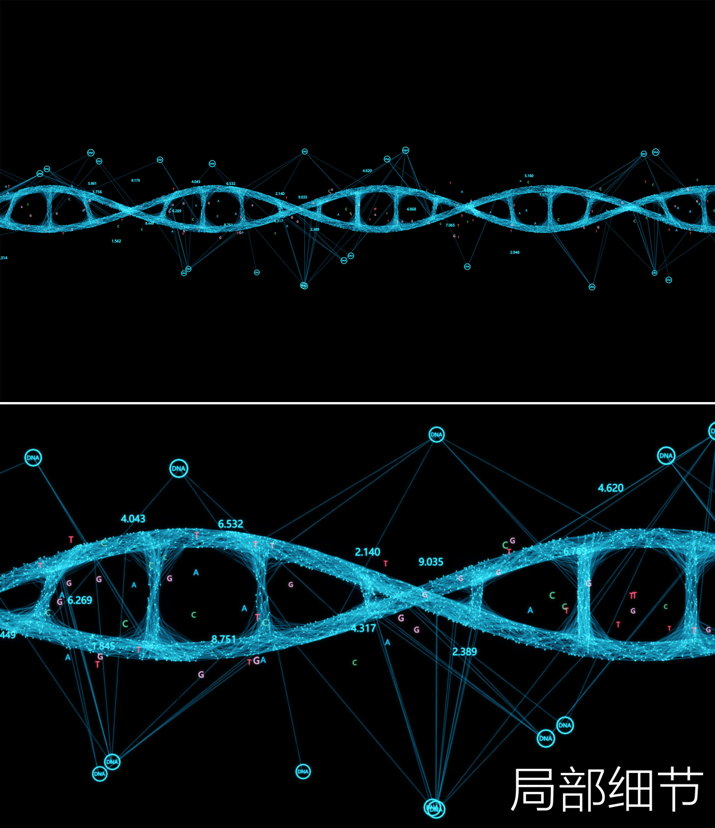 DNA链条