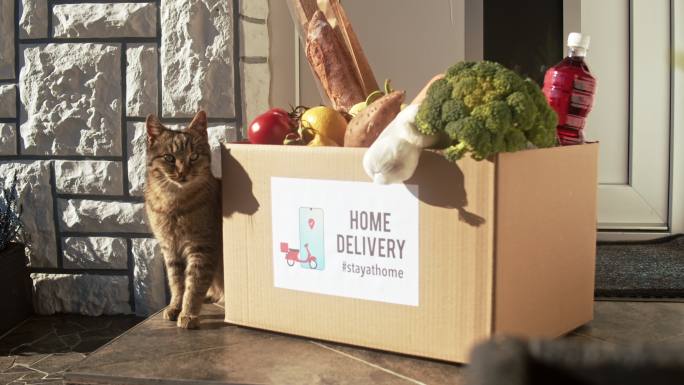 家用食品盒旁的猫购买有机食品送货