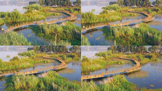 夏天的晋宁南滇池国家湿地公园