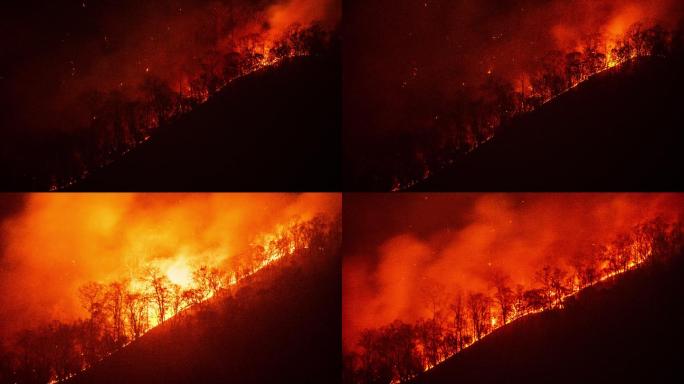 野火森林线山火肆虐摧毁毁灭生态灾害