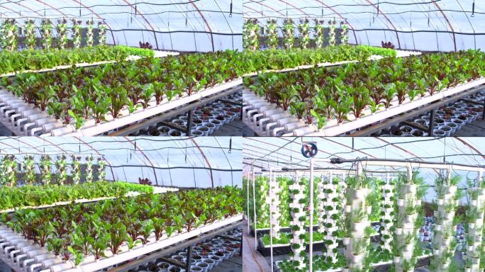 农业温室科技-现代化农业大棚科学种植灌溉