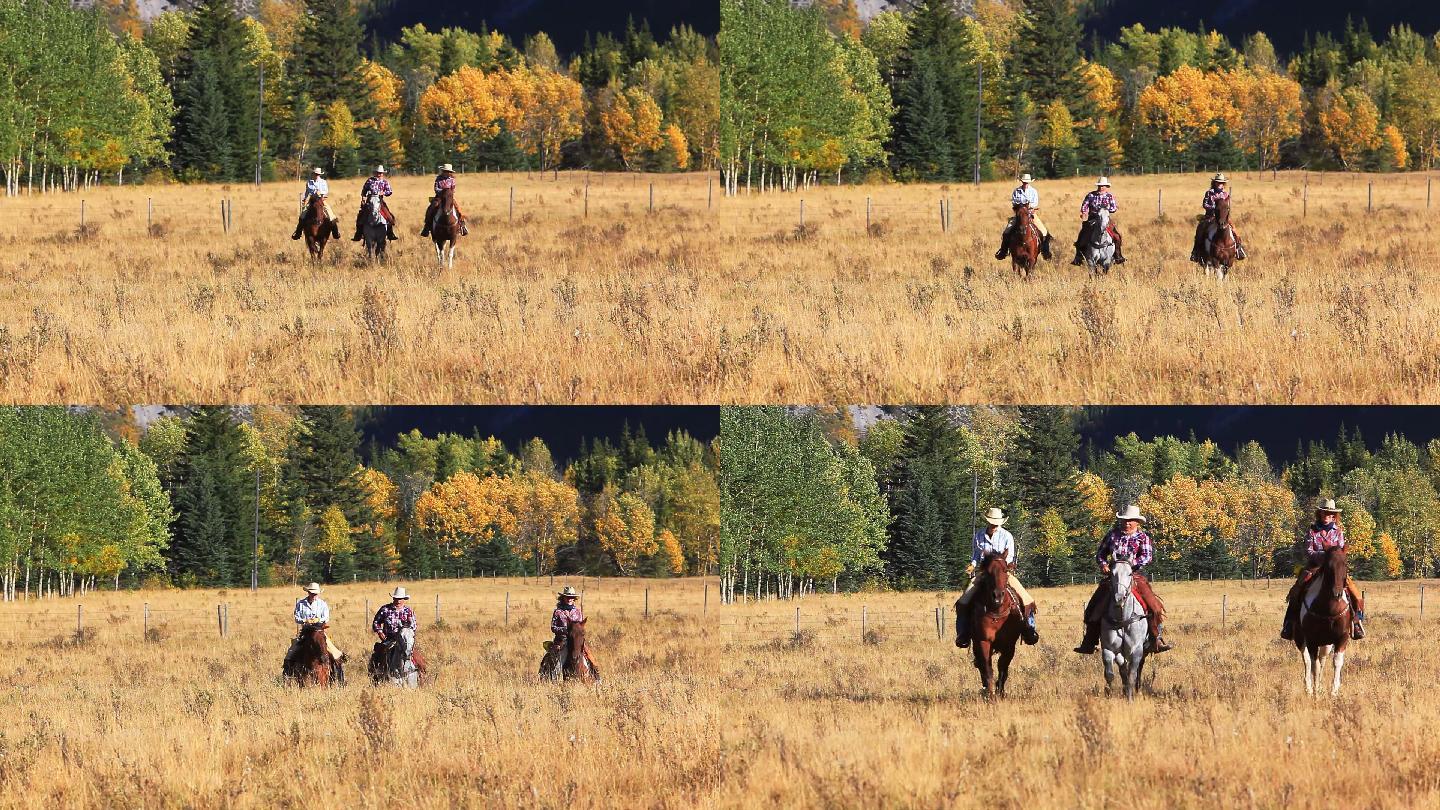 骑在马背上的三个人