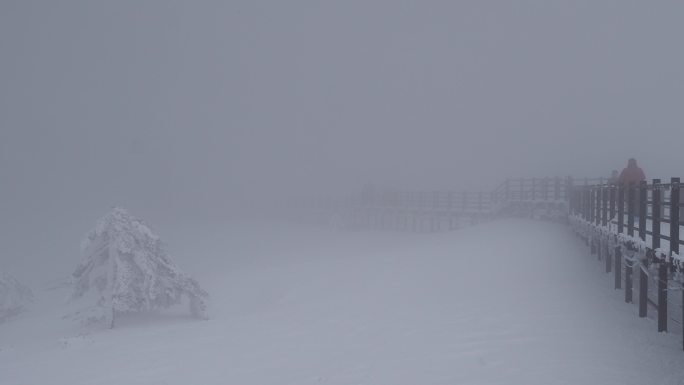 轿子雪山大雪镜头合集