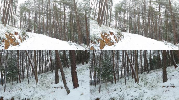 4K实拍农村森林下雪天3组