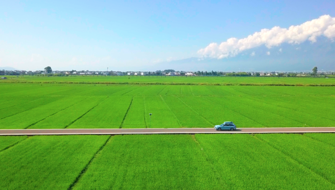 汽车行驶在一望无垠的田园上-开车旅行