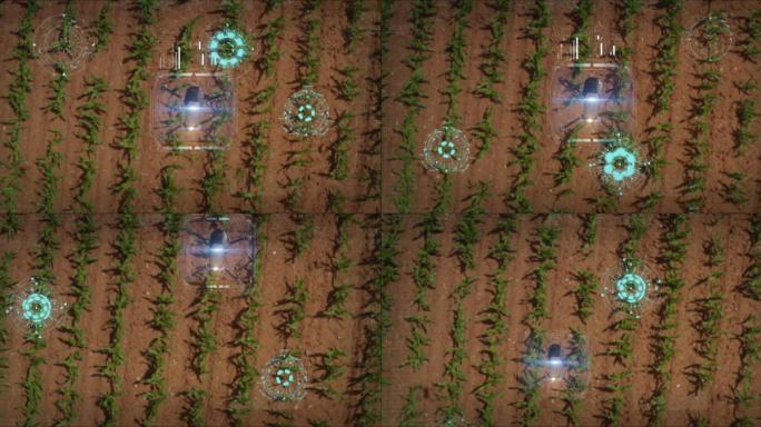 农田上的无人机现代化种植业AI科技感