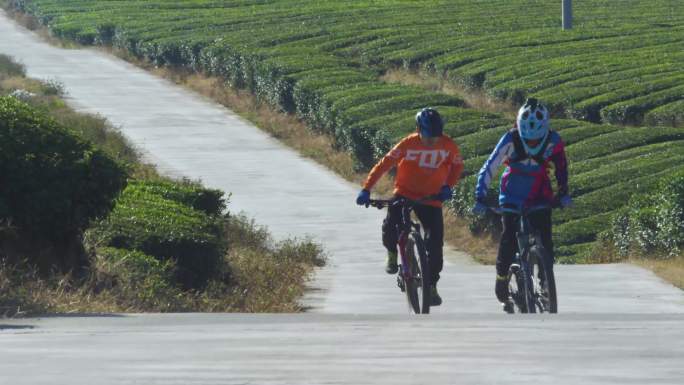 自行车骑行 山上骑行 速降 艰难向上