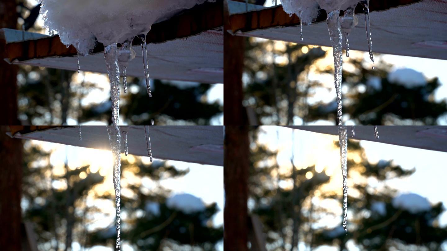 日落时融化的冰柱寒冷的温度潮湿冰冻