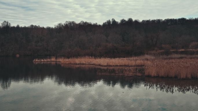 沼泽溪水库的景色湖边树林