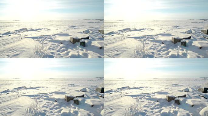 北极景观冰雪覆盖