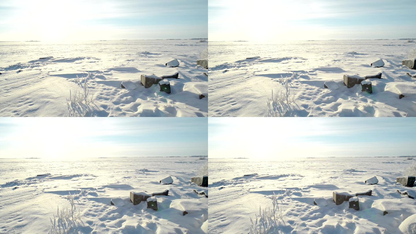 北极景观冰雪覆盖