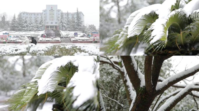 冬天雪景实拍6组