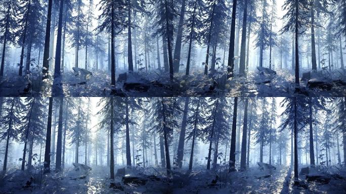 一片宁静的冬季森林，大雪覆盖着灌木