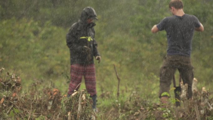 农场志愿者在雨中植树