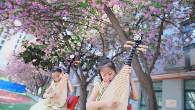 学校小学琵琶社团樱花树下琵琶弹奏国乐经典