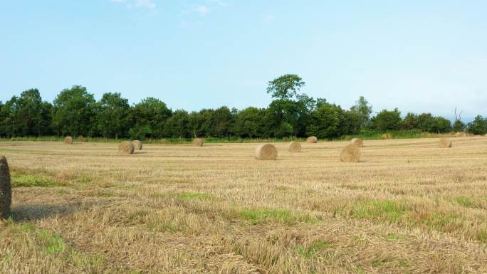苏格兰的一片田地耕地麦秸秸秆