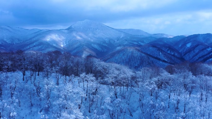 雪山雪景雪林冰天雪地壮观震撼航拍